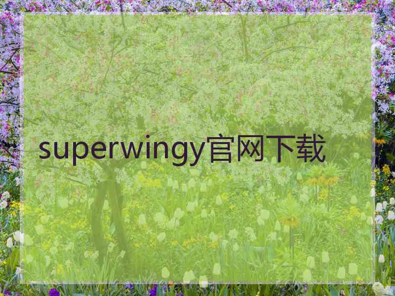 superwingy官网下载