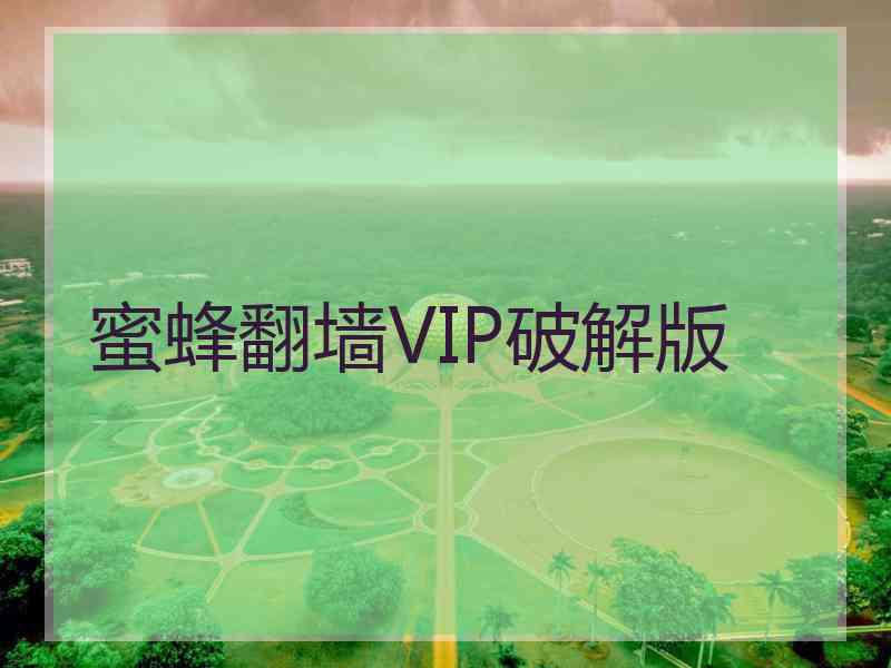 蜜蜂翻墙VIP破解版