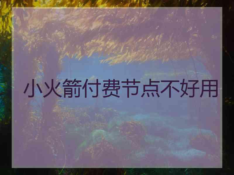 小火箭付费节点不好用