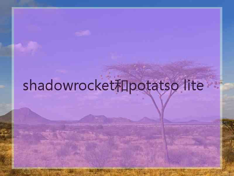 shadowrocket和potatso lite