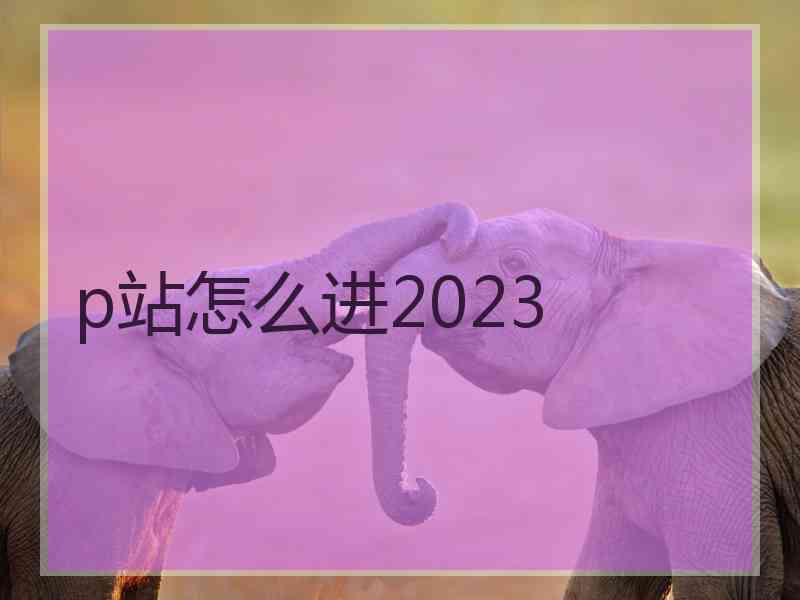 p站怎么进2023