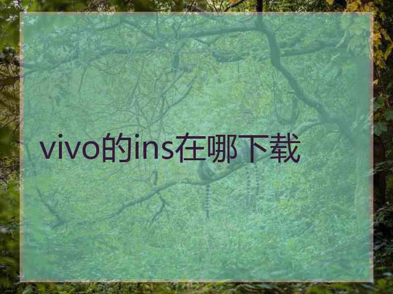 vivo的ins在哪下载