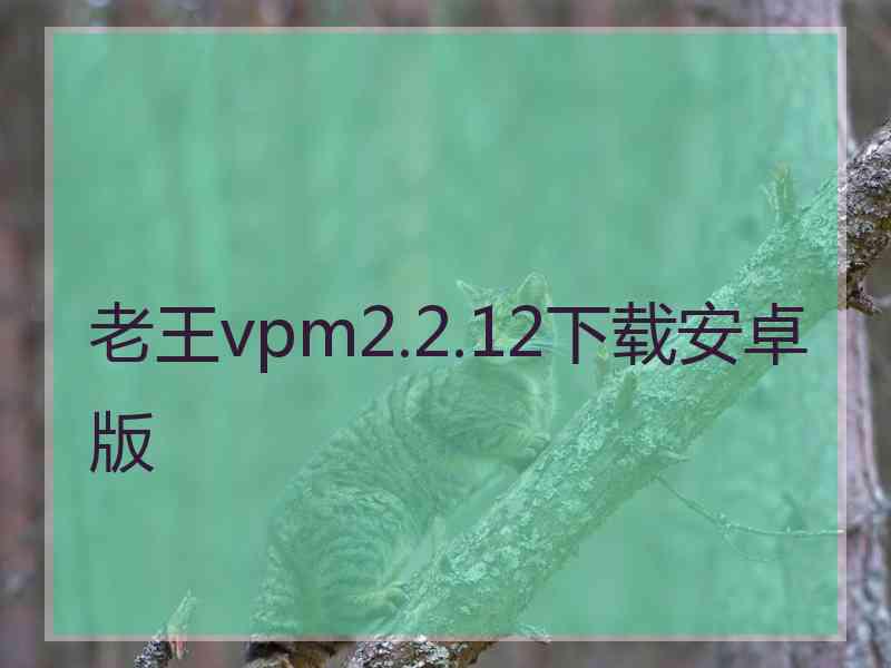 老王vpm2.2.12下载安卓版