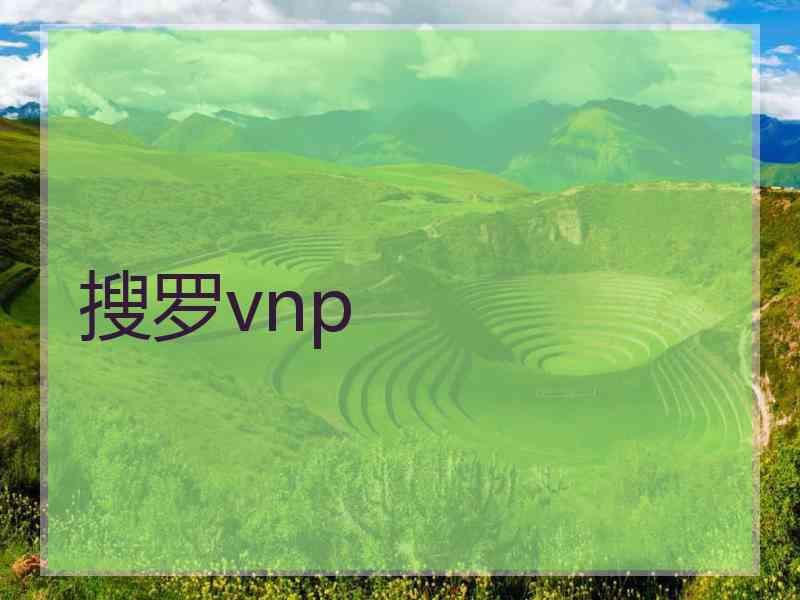 搜罗vnp