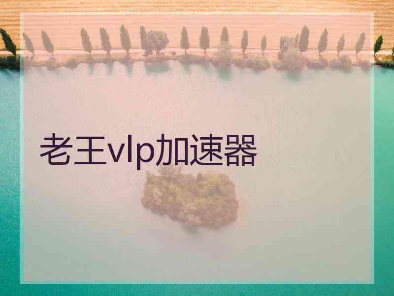 老王vlp加速器