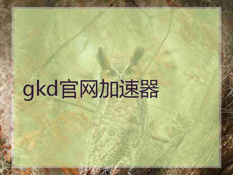 gkd官网加速器