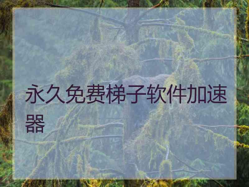 永久免费梯子软件加速器