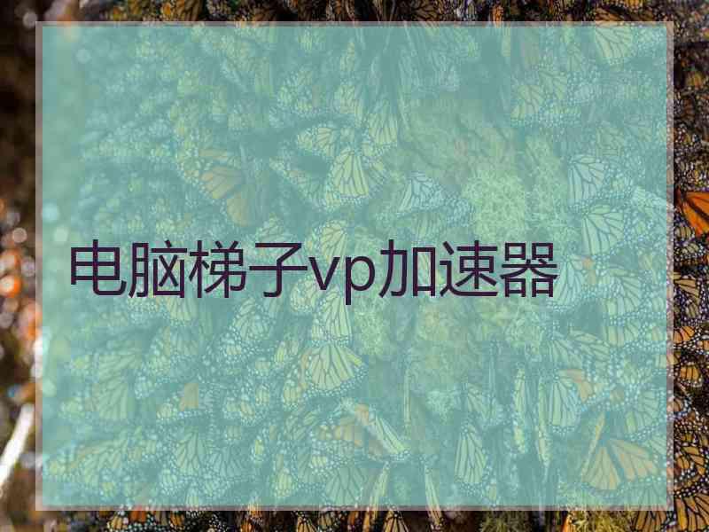 电脑梯子vp加速器