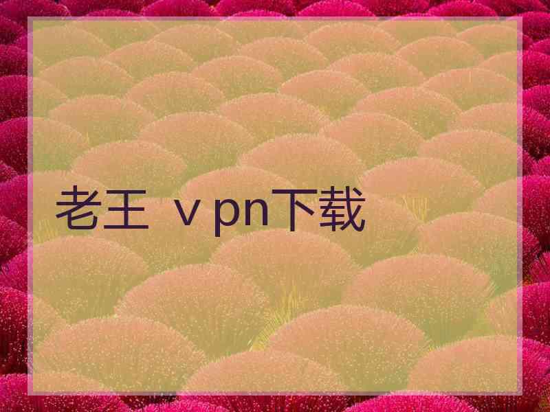 老王 ⅴpn下载