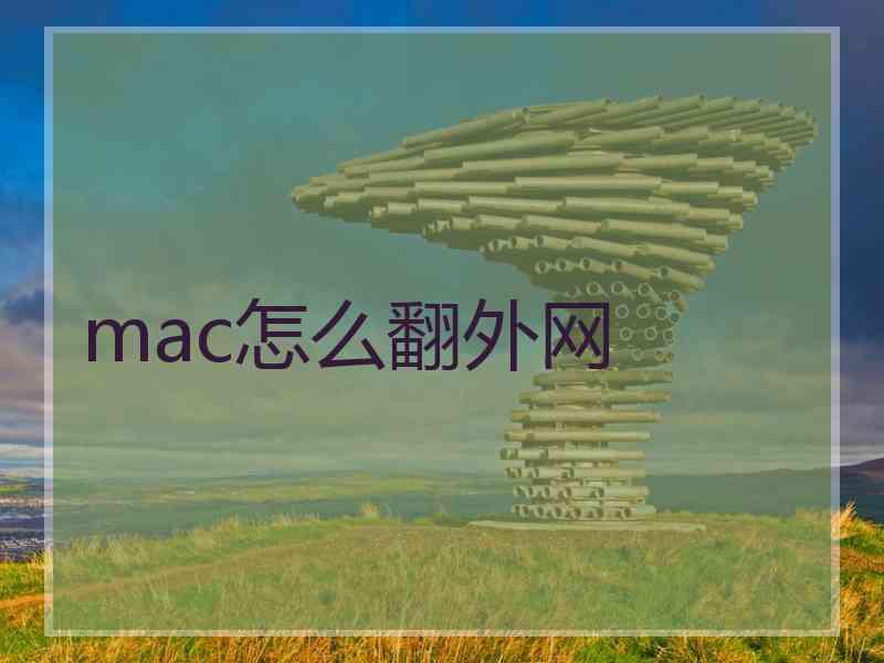 mac怎么翻外网