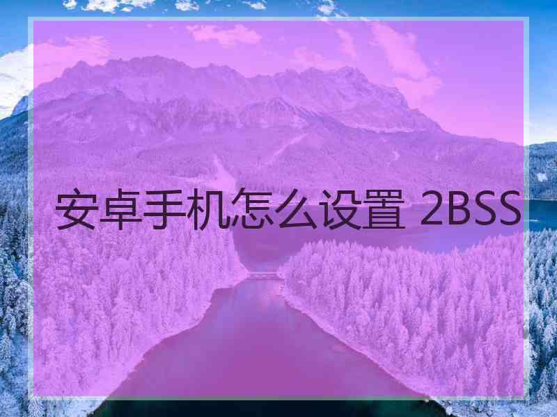 安卓手机怎么设置 2BSS