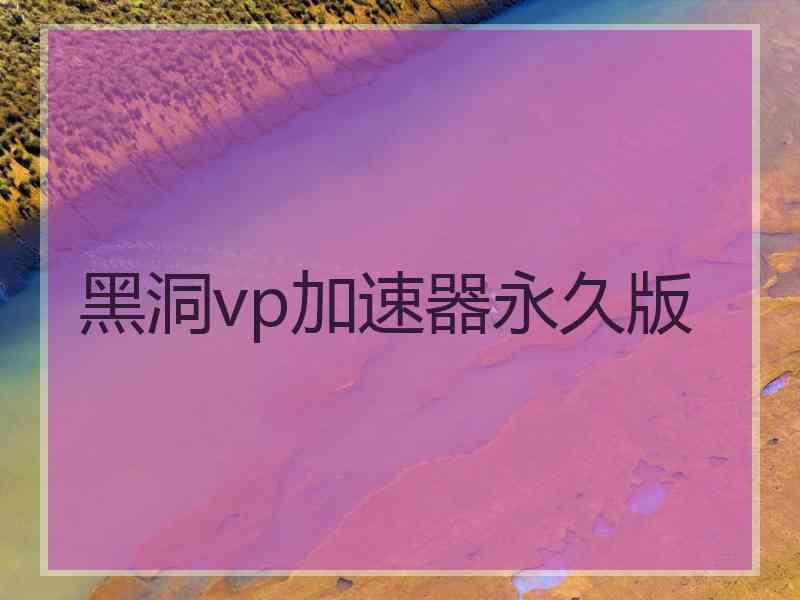 黑洞vp加速器永久版