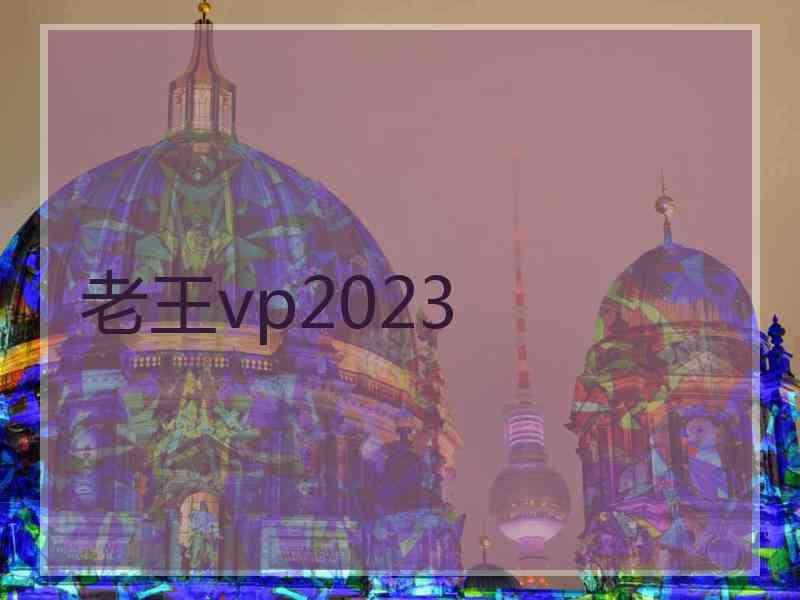 老王vp2023