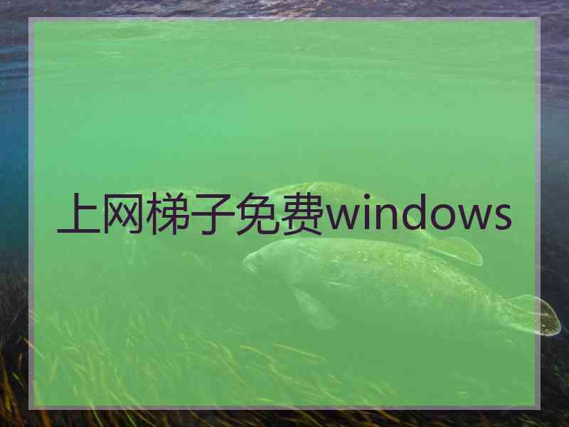 上网梯子免费windows