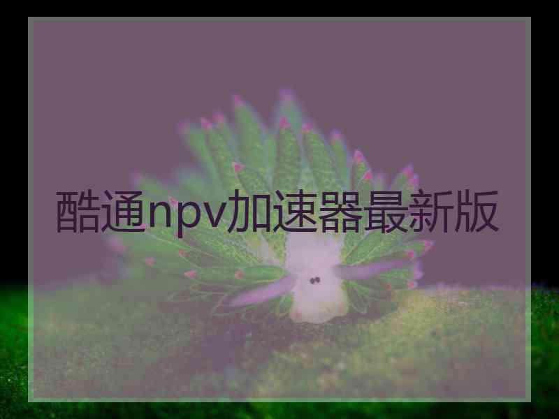 酷通npv加速器最新版