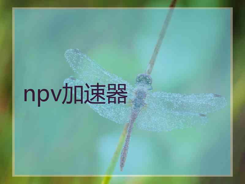 npv加速器