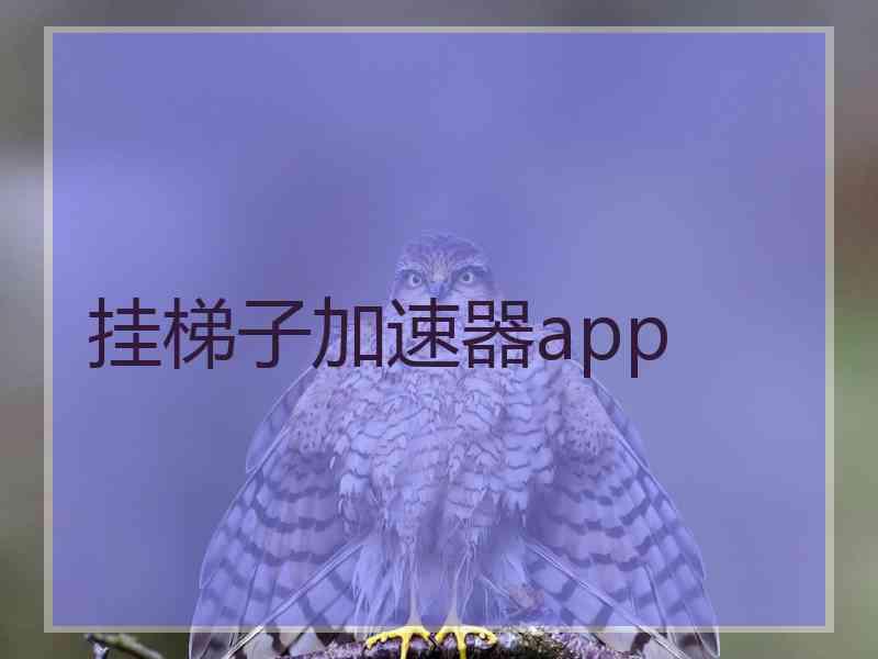 挂梯子加速器app