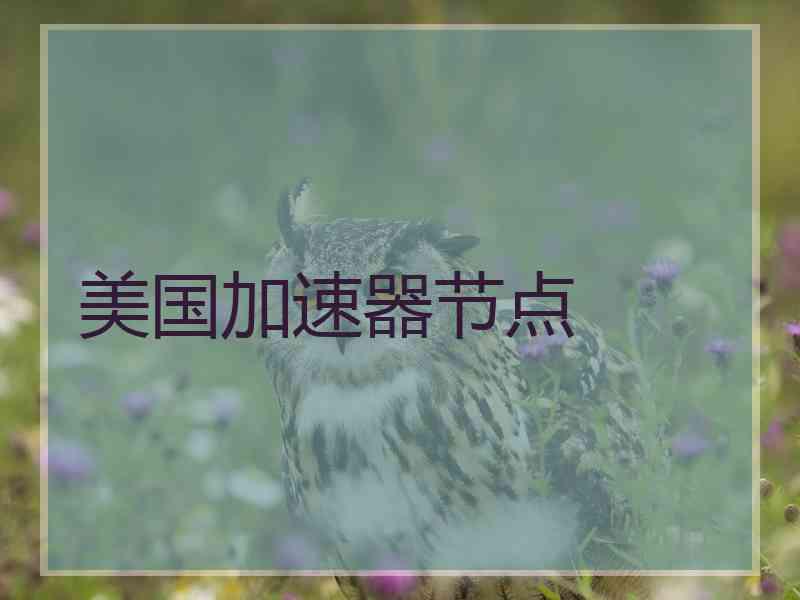 美国加速器节点