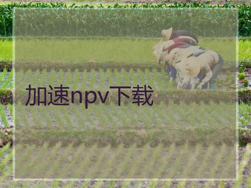 加速npv下载