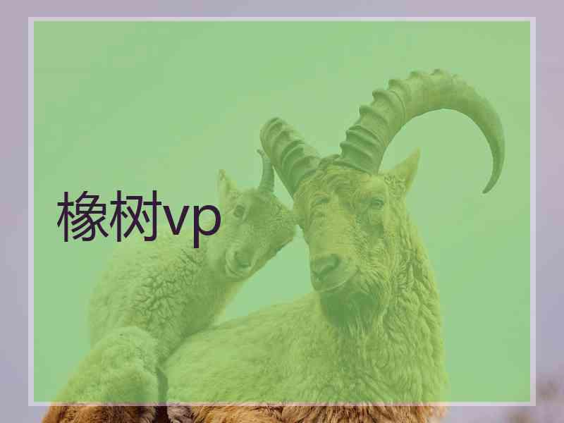 橡树vp