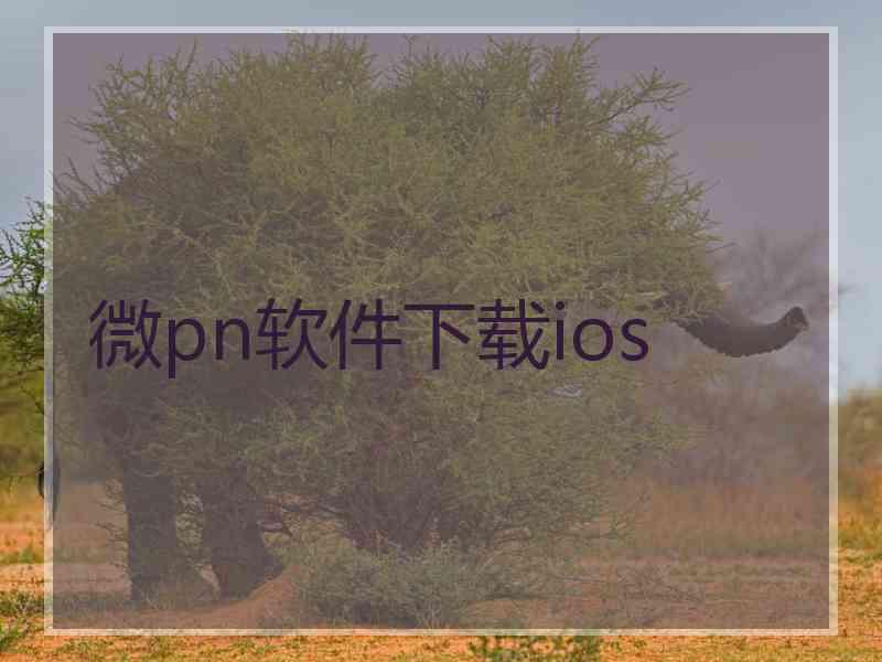 微pn软件下载ios