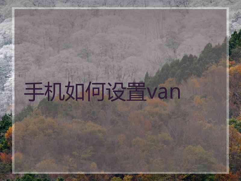 手机如何设置van