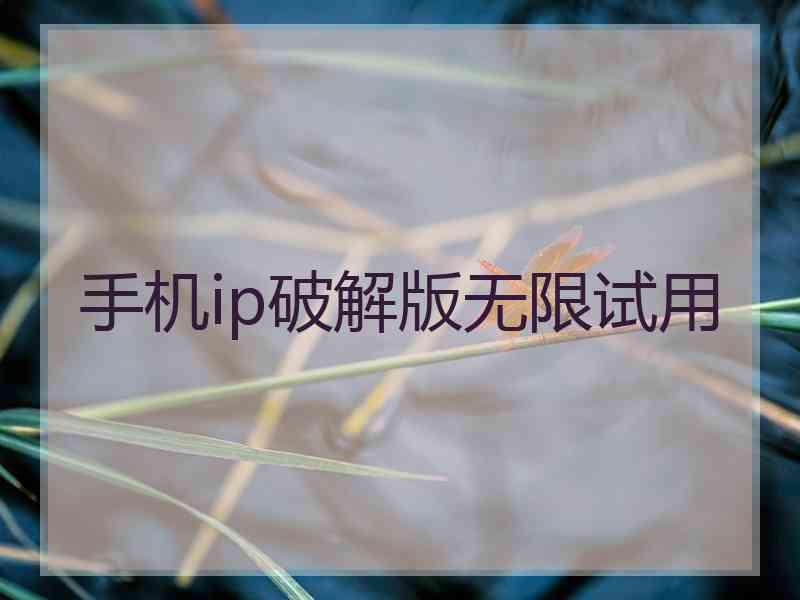 手机ip破解版无限试用