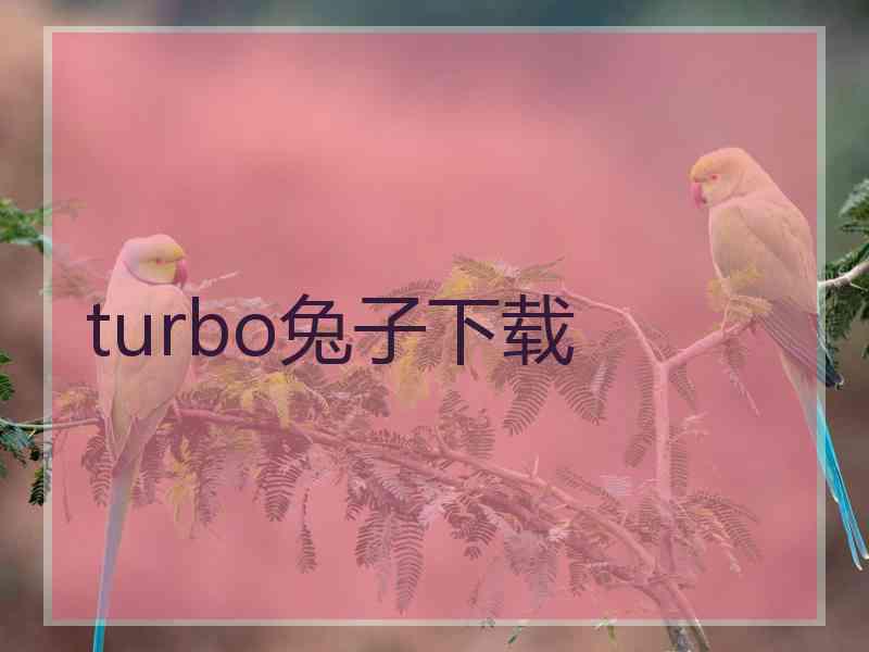 turbo兔子下载