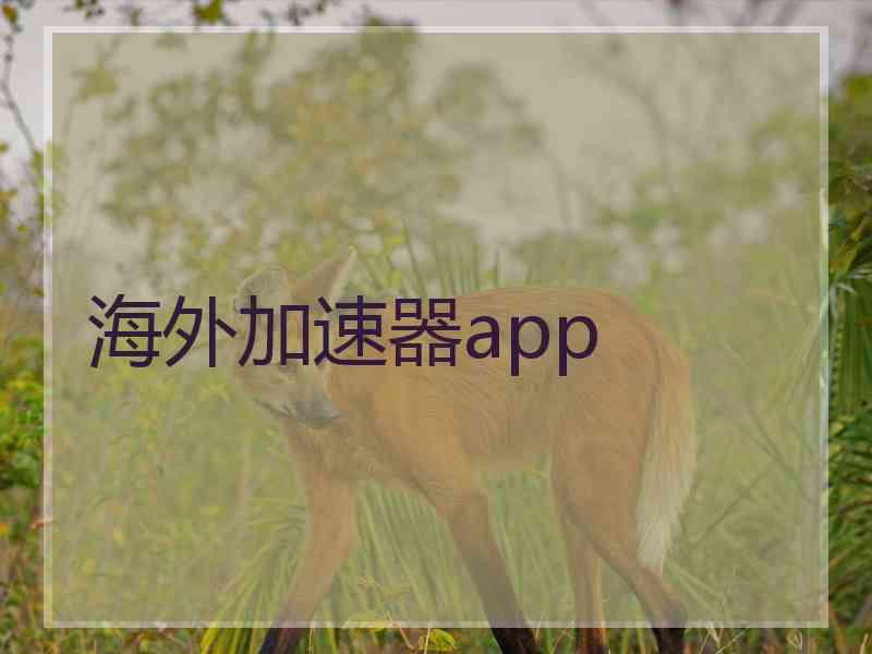 海外加速器app