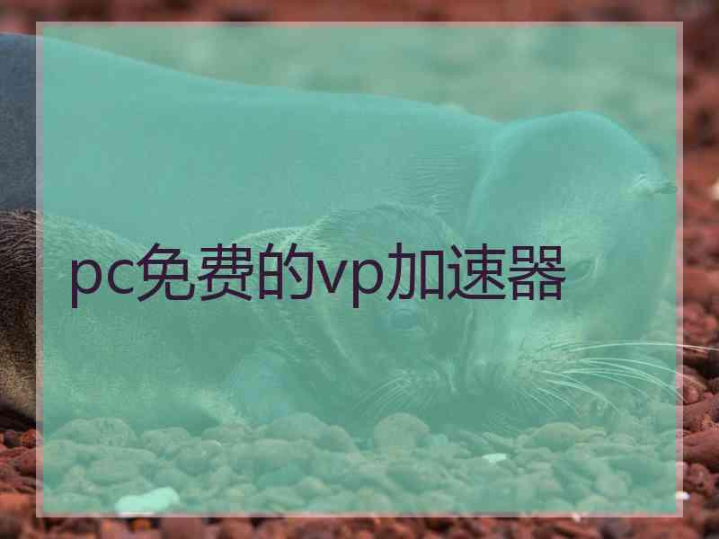 pc免费的vp加速器