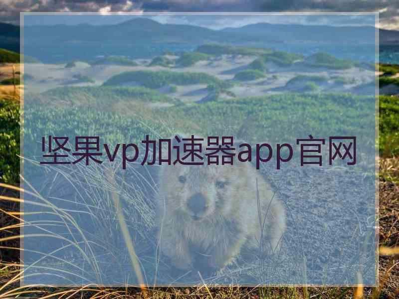 坚果vp加速器app官网