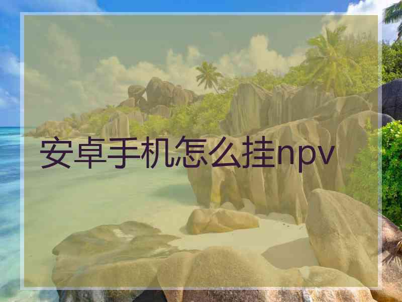 安卓手机怎么挂npv