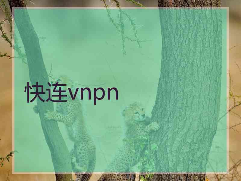 快连vnpn