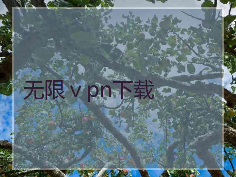 无限ⅴpn下载