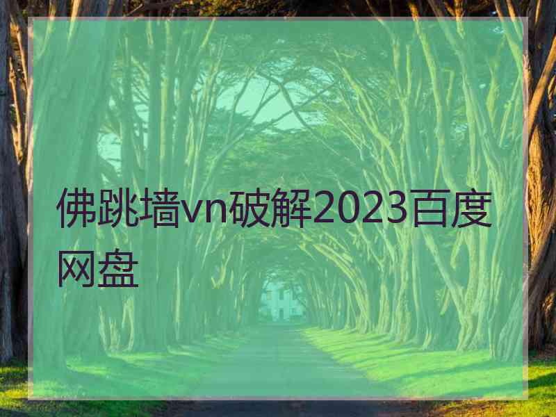 佛跳墙vn破解2023百度网盘