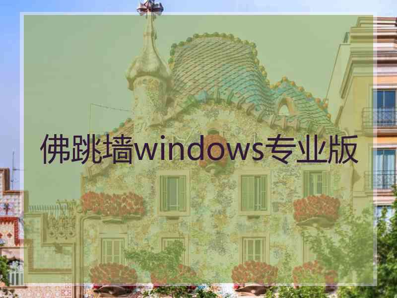 佛跳墙windows专业版