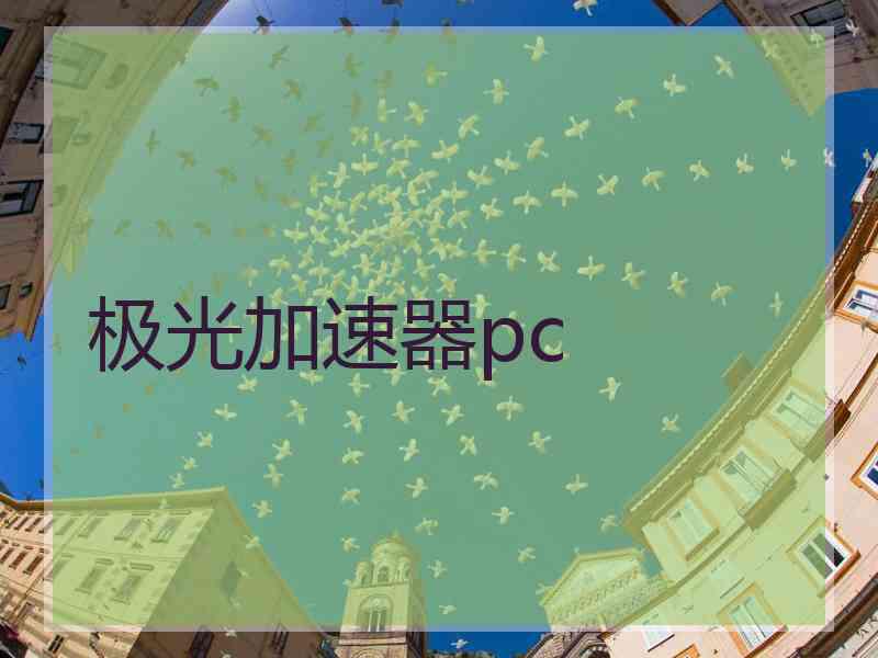 极光加速器pc