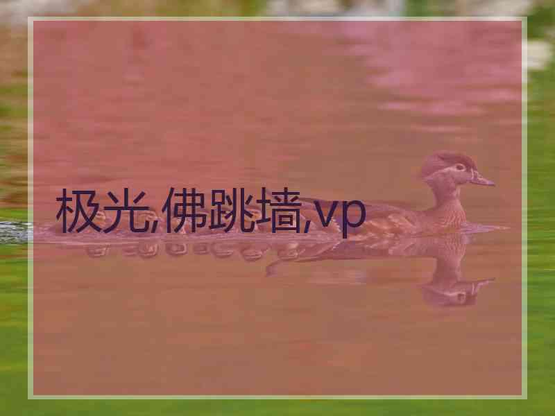 极光,佛跳墙,vp