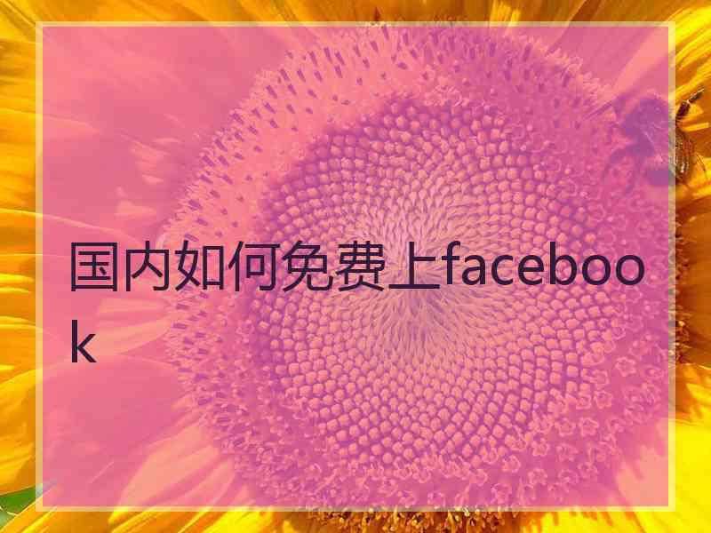 国内如何免费上facebook