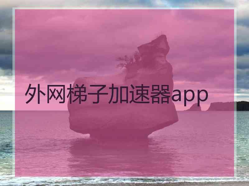 外网梯子加速器app