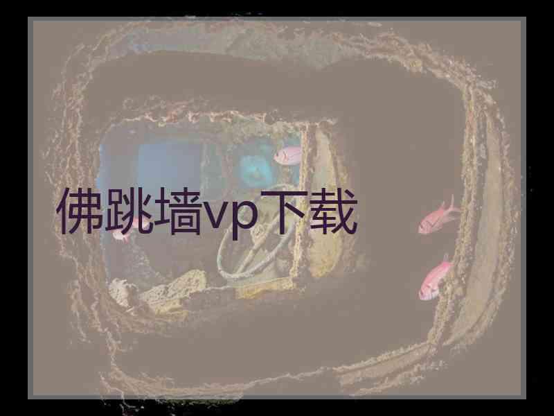 佛跳墙vp下载