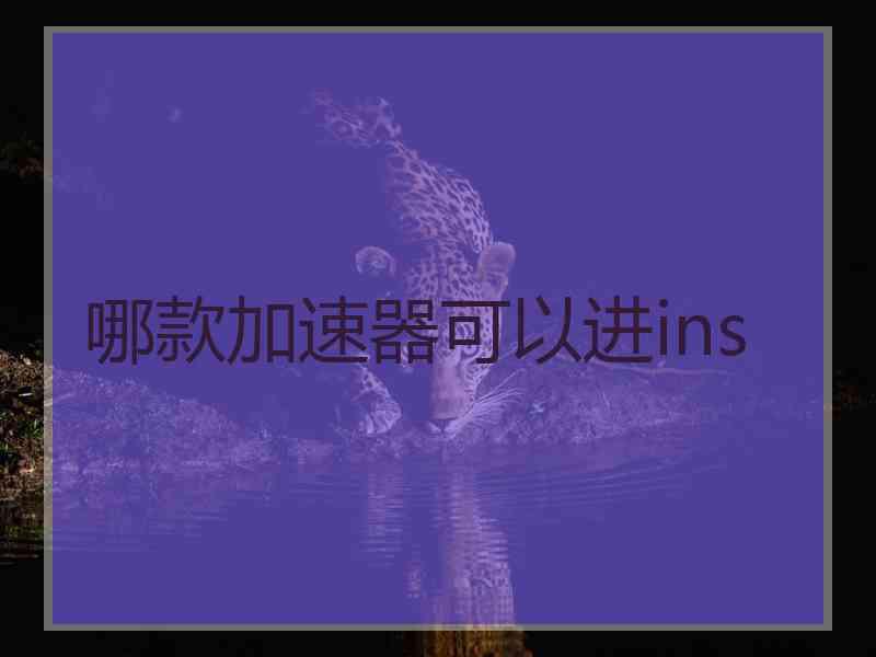 哪款加速器可以进ins