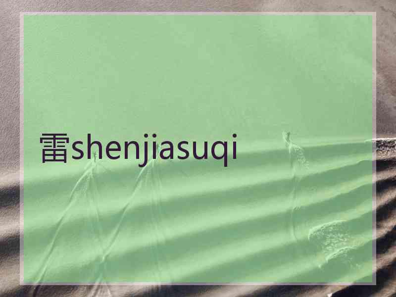 雷shenjiasuqi