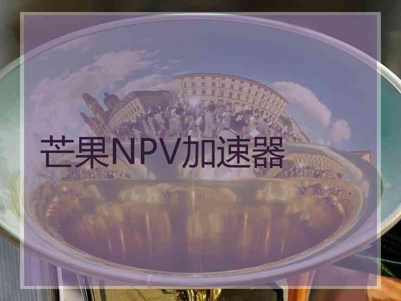 芒果NPV加速器