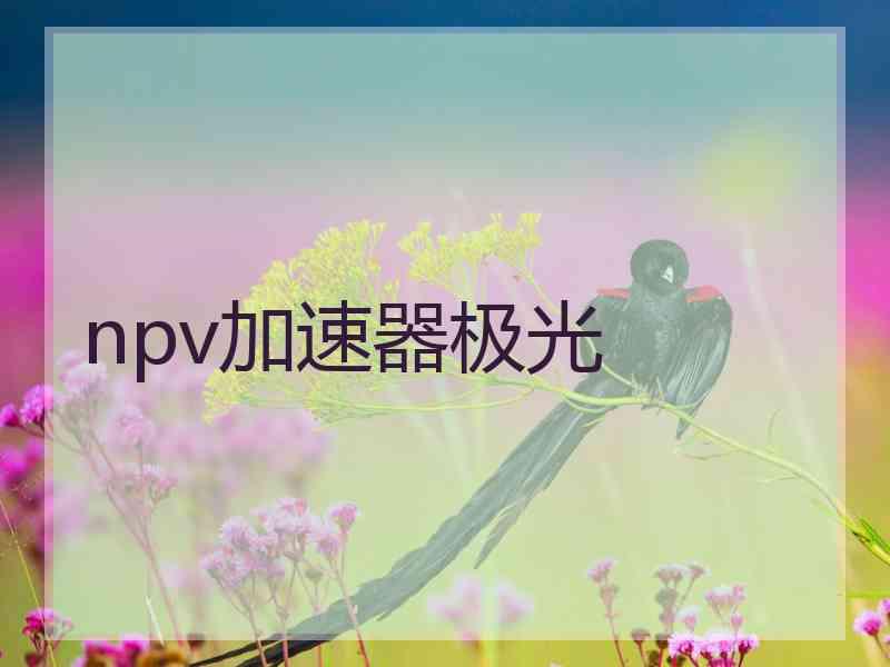 npv加速器极光