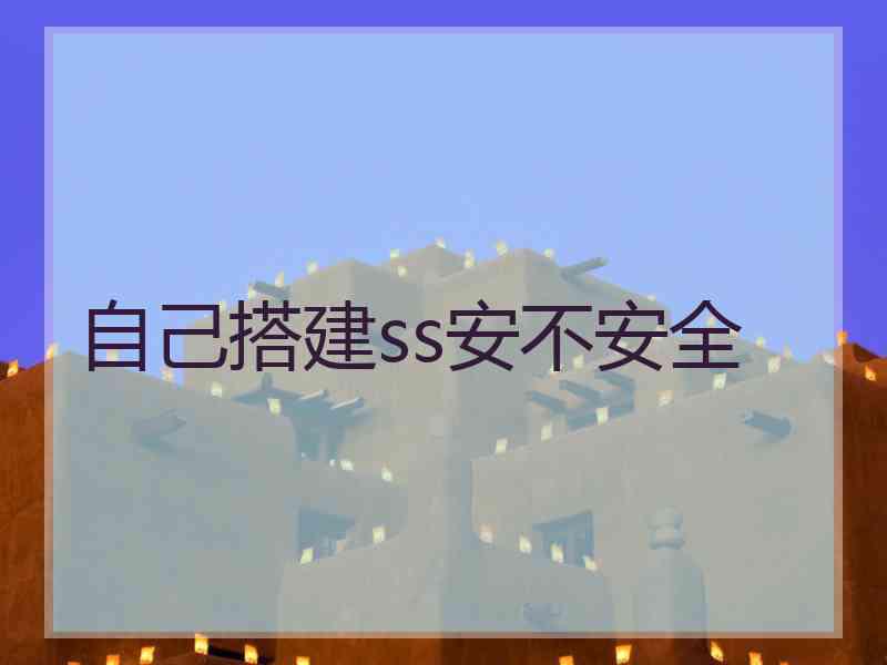 自己搭建ss安不安全