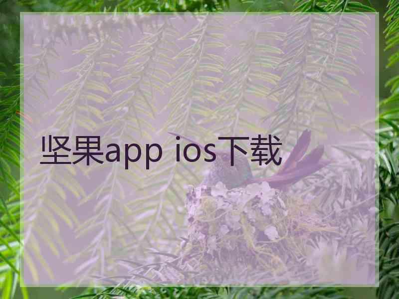 坚果app ios下载