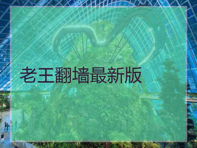 老王翻墙最新版