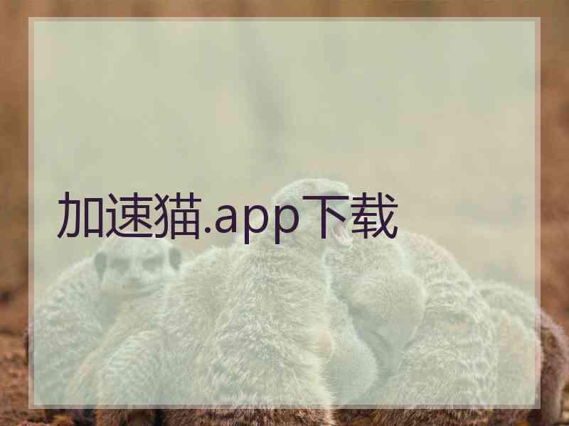 加速猫.app下载