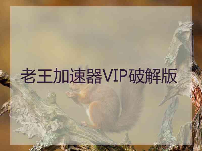 老王加速器VIP破解版